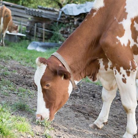 Bio-Bauernhof Einberghof Lejlighed Pfarrwerfen Eksteriør billede