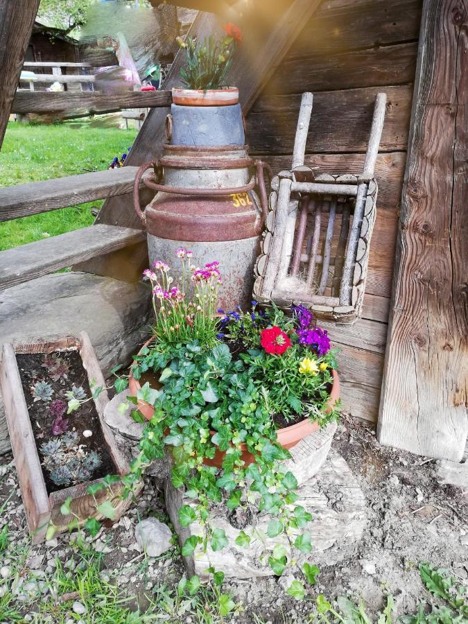 Bio-Bauernhof Einberghof Lejlighed Pfarrwerfen Eksteriør billede