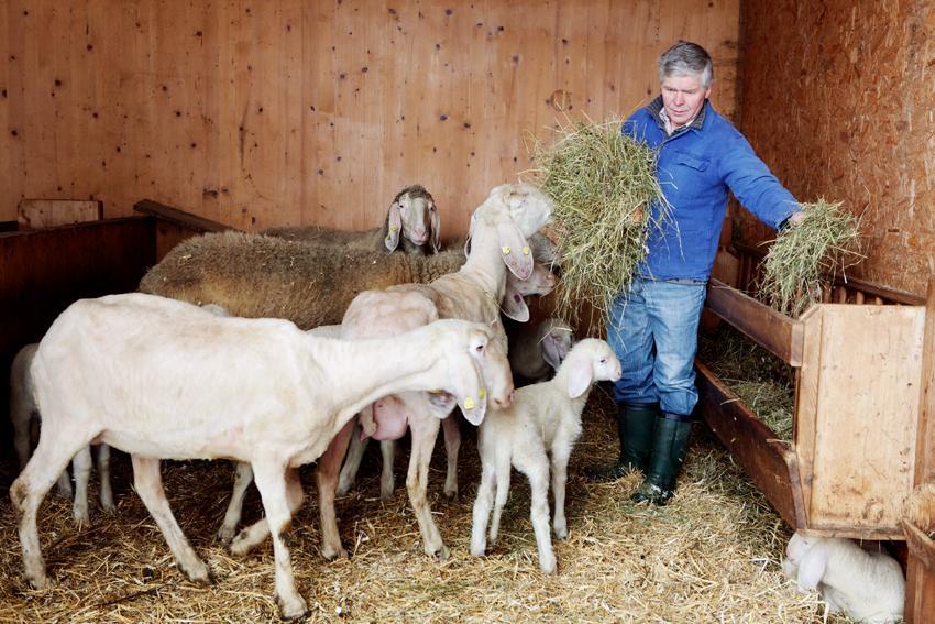 Bio-Bauernhof Einberghof Lejlighed Pfarrwerfen Eksteriør billede